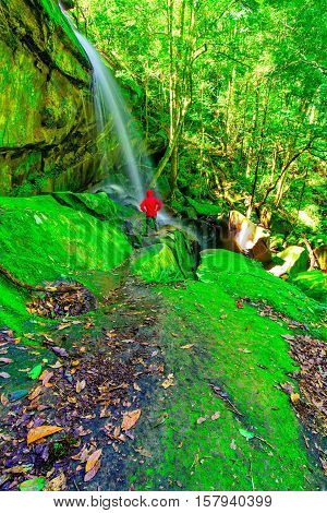 Waterfall in a lush rainforest. Photographed at the National Park in Thailand