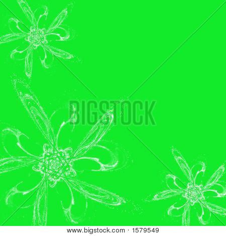 Fiori bianchi su sfondo verde