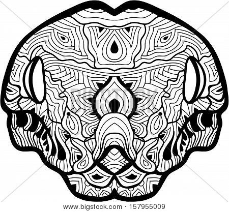 Ink pen. Coloring antistress page for adults. The head of a boa constrictor with patterns. Line art. Tattoo.