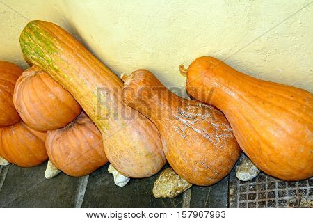 Row of squashes displayed outside a restaurant Rethymno Crete Greece Europe.
