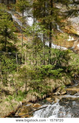 Skov vandfald