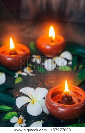 Candle light surrounding by dark nature and flower