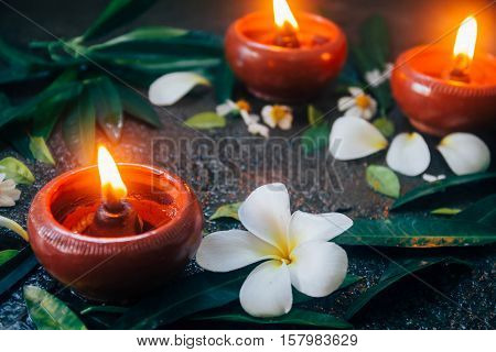 beeswax or Candle light surrounding by dark nature