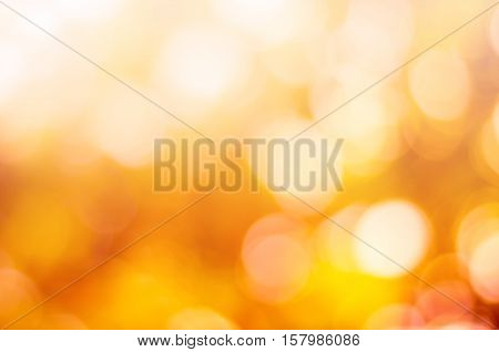 Blurred nature background.Backdrop with color and bright sun light. Summer holidays concept.bokeh background or Christmas background.Green Energy.Christmas Blurred.