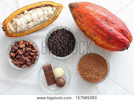 cacao beans,cacao fruit, cacao nibs,cacao powder and chocolate