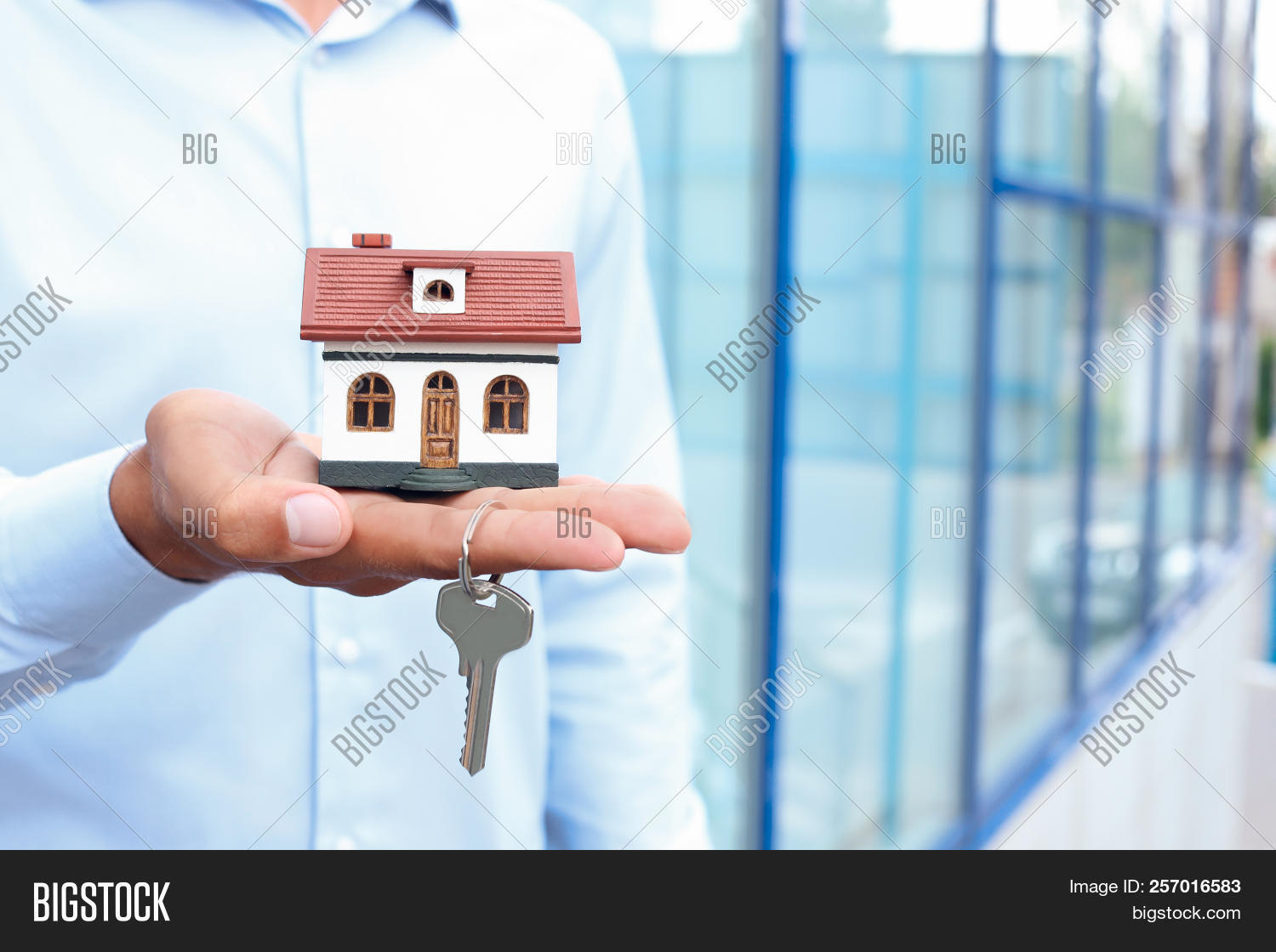 сделки с недвижимостью. приватизация имущества. продает дом перевести. продает дом перевести. деньги на дом.