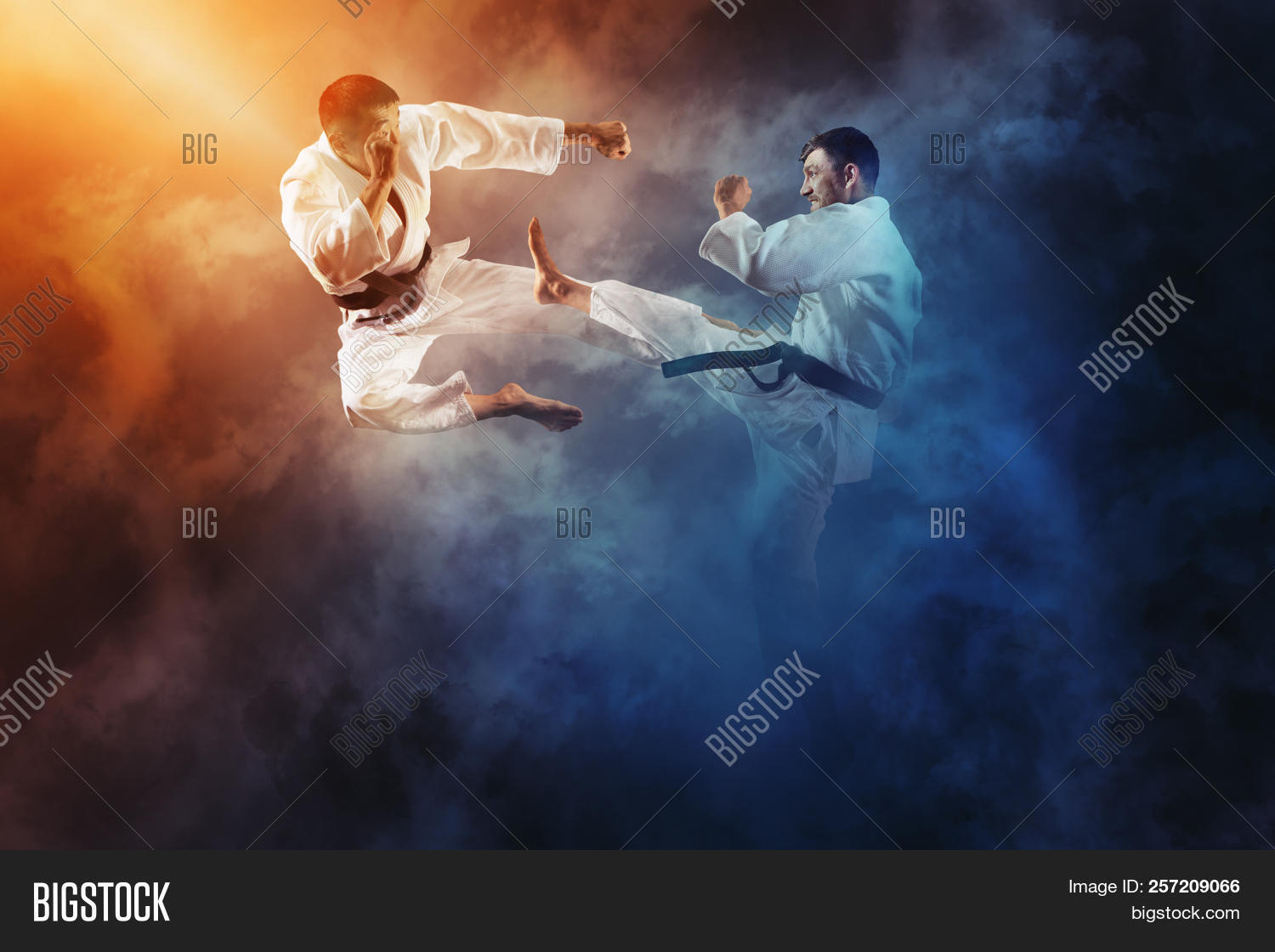 Martial Arts Masters, Image & Photo (Free Trial) Bigstock