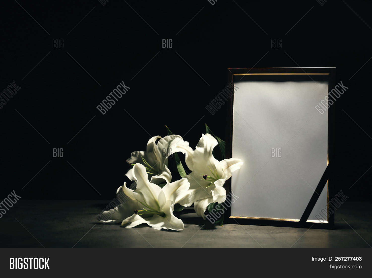 Funeral Photo Frame Image & Photo (Free Trial) | Bigstock