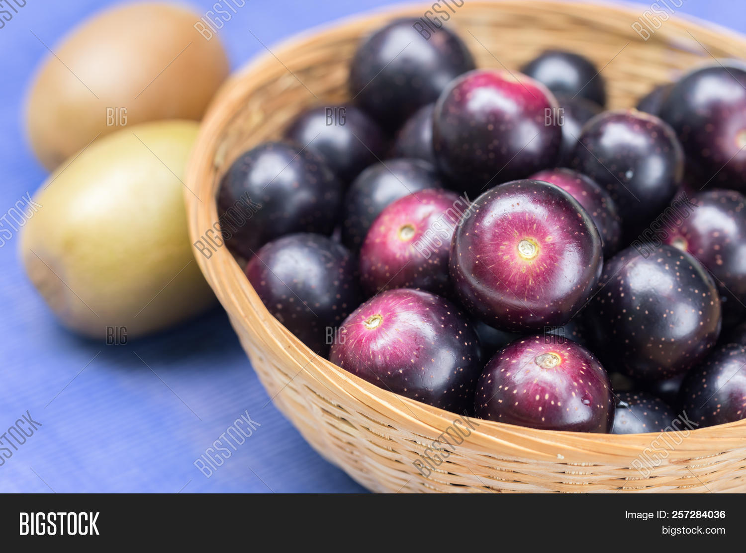 Muscadine Grapes Known Image & Photo (Free Trial) Bigstock