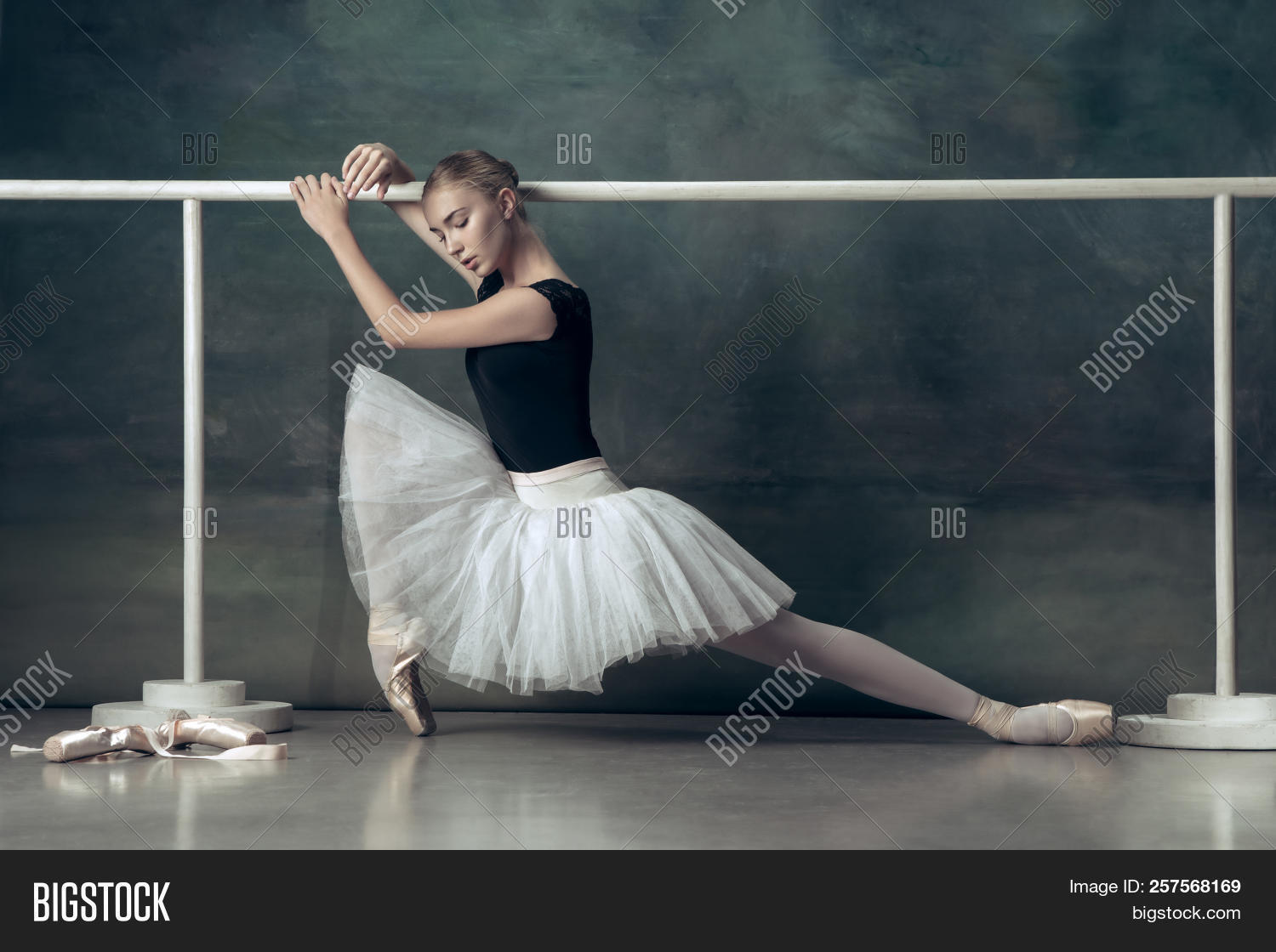 Young teen ballerina useful question Apologise, but, young teen ballerina something