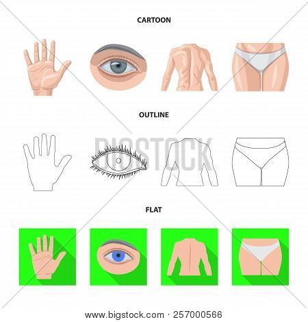 Vector Design Of Human And Part Sign. Collection Of Human And Woman Vector Icon For Stock.