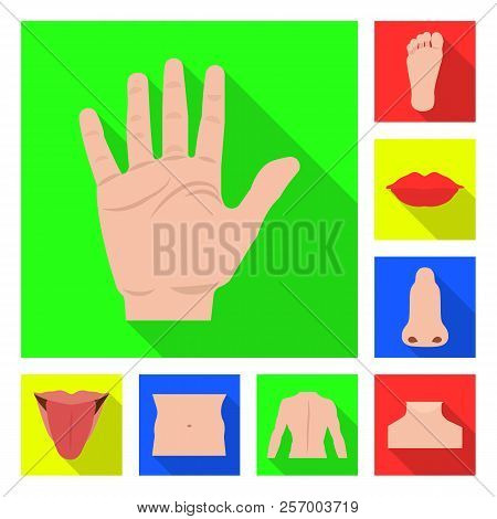 Vector Illustration Of Human And Part Logo. Collection Of Human And Woman Stock Vector Illustration.