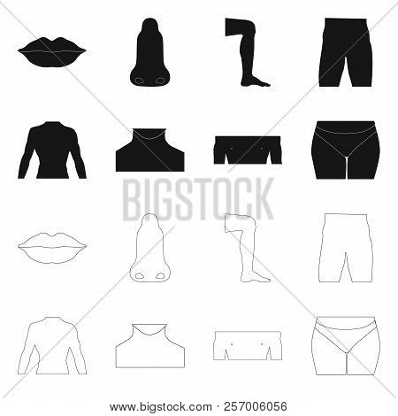 Vector Design Of Human And Part Icon. Set Of Human And Woman Stock Vector Illustration.