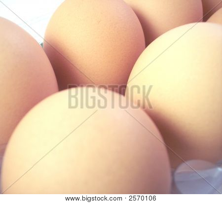Ovos marrons