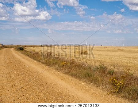 Dirt Road Through The Meseta - Hornillos Del Camino, Castile And Leon, Spain