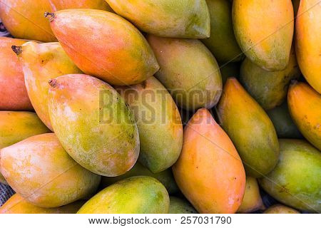 Bunch Of Rip Organic Mangoes, Health Concept Background