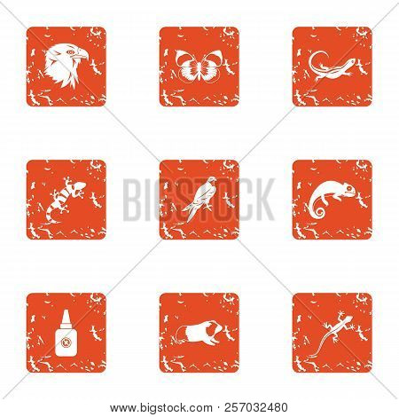 Small Animal Icons Set. Grunge Set Of 9 Small Animal Icons For Web Isolated On White Background