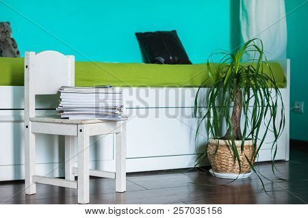 Interior Of The Living Room. A White Chair With A Stack Of Magazines, A Sofa, A Palm Tree In The Roo