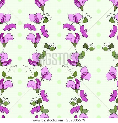 Sweet Pea Flowers And Leaves Vertical Style Seamless Vector Pattern With Green Polka Dots