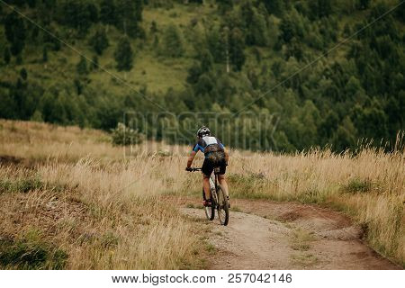 Back Cyclist On Mountain Bike Biking Down Hill Trail