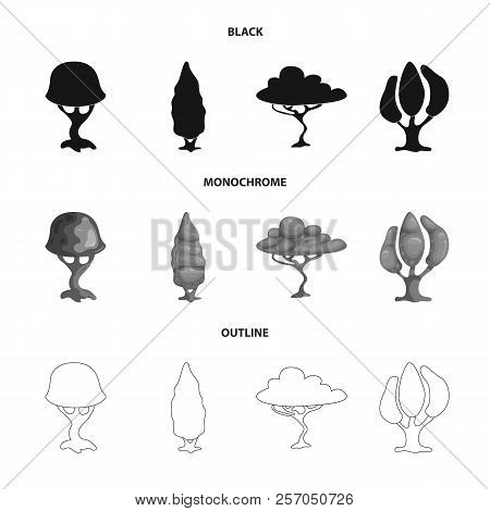 Vector Design Of Tree And Nature Logo. Collection Of Tree And Crown Stock Vector Illustration.
