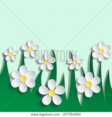 White Chamomile. Pattern Wrapping Paper, Textile Template. Green Background.
