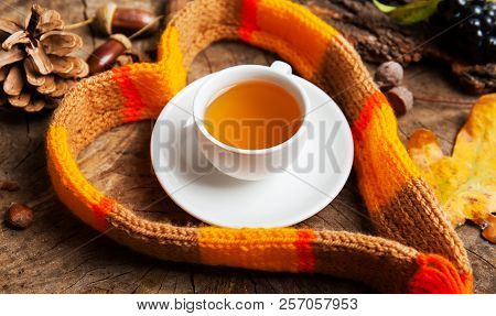 Hot Mulled Wine With Cinnamon Cardamom And Anise On Wooden Background