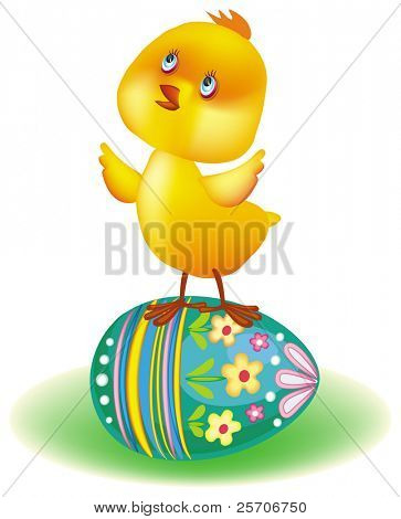 Piccolo pollo giallo