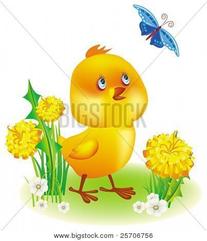 Piccolo pollo giallo