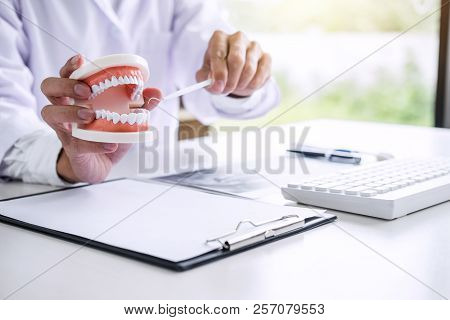 Dentist Hand Holding Of Jaw Model Of Teeth And Cleaning Dental With Dental Tool.
