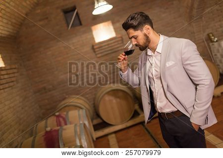 Young And Smart Oenologist Tasting Wines In Cellar