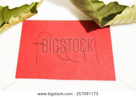 Hand Wrote Fall On A Red Paper With Leaves Isolated In A White Background