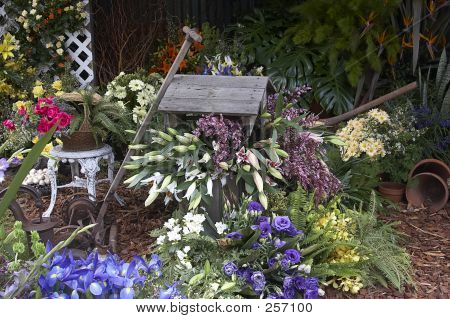 Strumenti e fiori