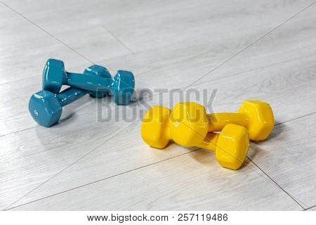 Colorfull Modern Dumbbells On A Wooden Floor