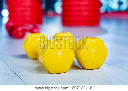 Colorfull Modern Dumbbells On A Wooden Floor