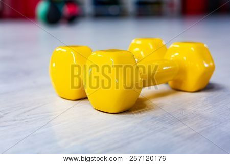 Colorfull Modern Dumbbells On A Wooden Floor