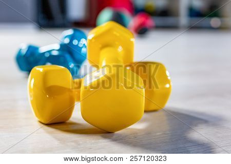 Colorfull Modern Dumbbells On A Wooden Floor