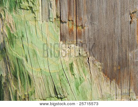 Weathered Wood