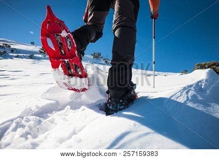 Man In Snowshoes In The Mountains.