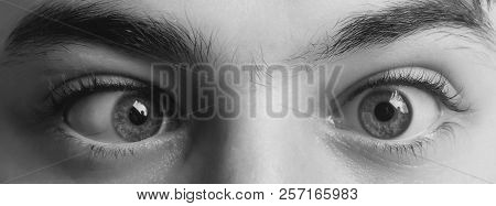 Eyes With Squinted Look And Eyebrows On Male Face. Grimace. Strabismus