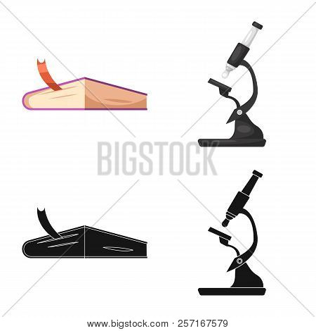 Vector Illustration Of Education And Learning Logo. Set Of Education And School Stock Vector Illustr