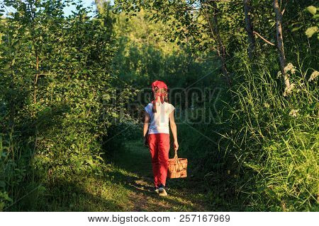 Young Girl Walking On A Path Through Green Woods Carrying A Birchbark Basket