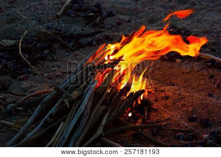 Fire Bonfire Flame Flame Sea Romance Life