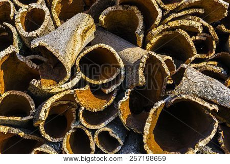Drying Of Corkwood For Making Wine Corks In Portugal