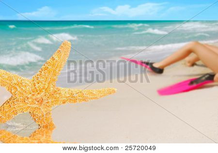Buzo poner en aletas de natación en playa bonita con estrellas de mar en primer plano