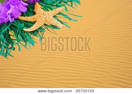 レイとヒトデ原始的な砂の上を風に吹かれて黄金の太陽の下で波紋