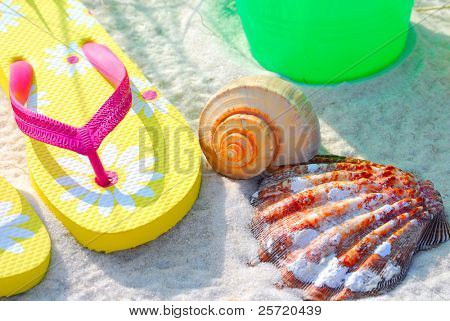 Flipflops สีสันและกลุ่ม โดยเปลือกหอยบนชายหาดในแดดเช้า