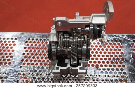 Cross Section Of Worm Gear Pump ; Selective Focus