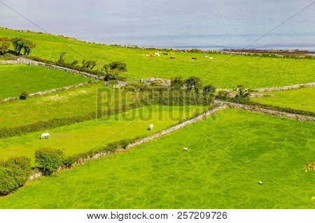 Burren Way Trail With Galway Bay In Background