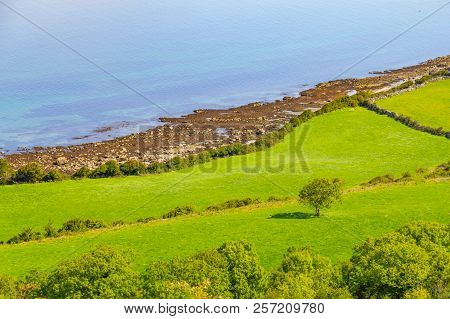 Farm Field And Beach In Ballyvaughan